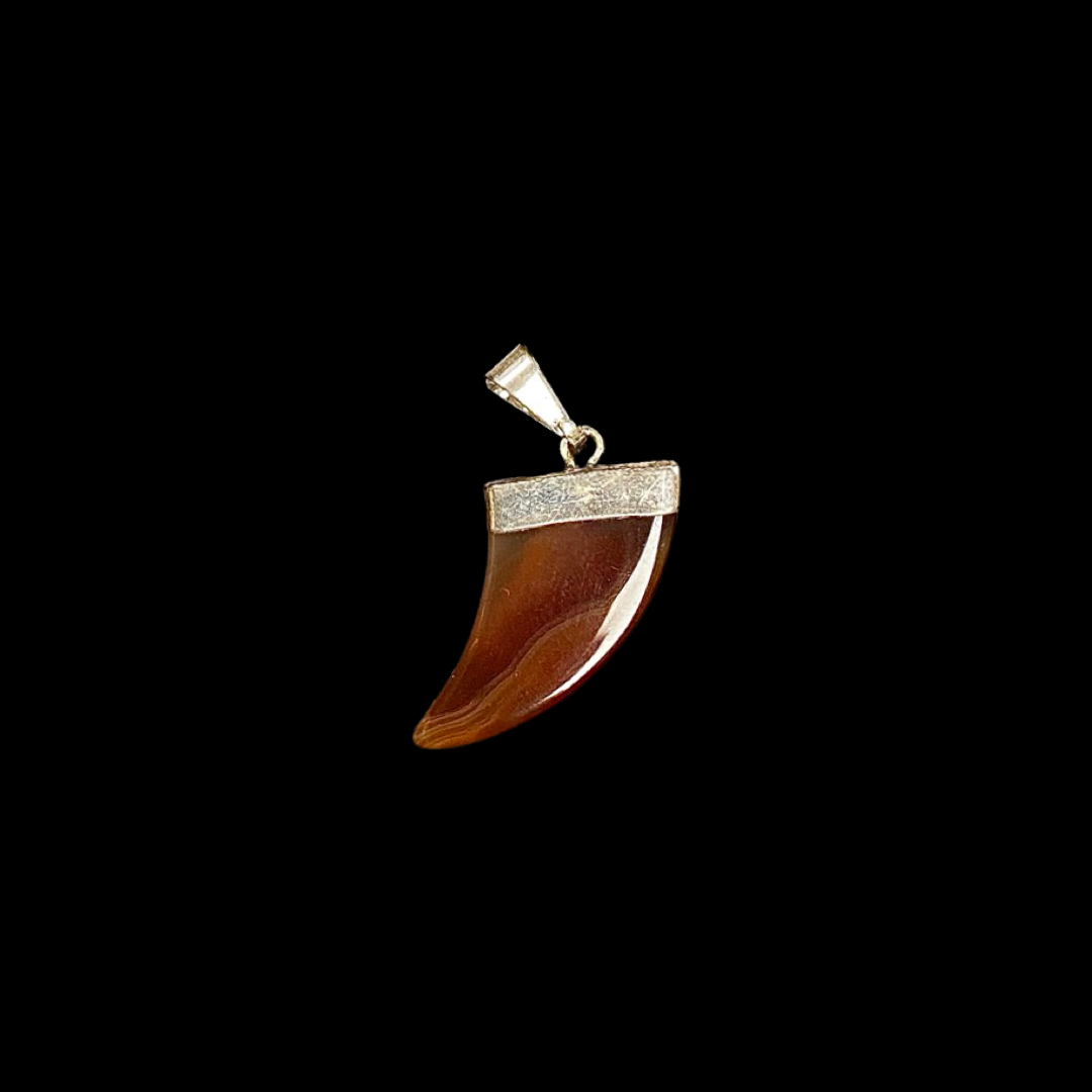 Agate Horn Pendant