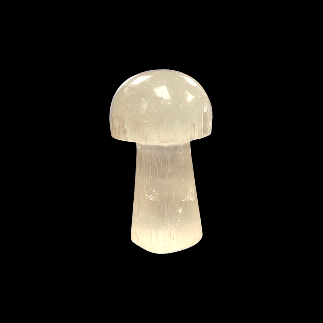 Selenite Mushrooms