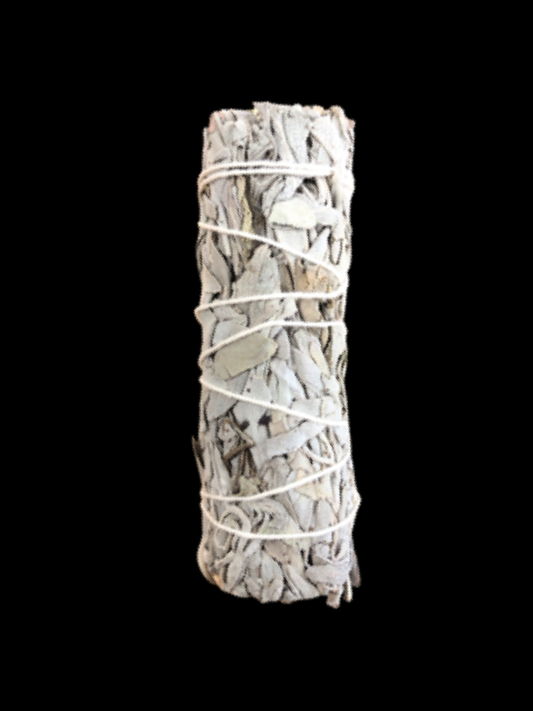 White Sage 9”